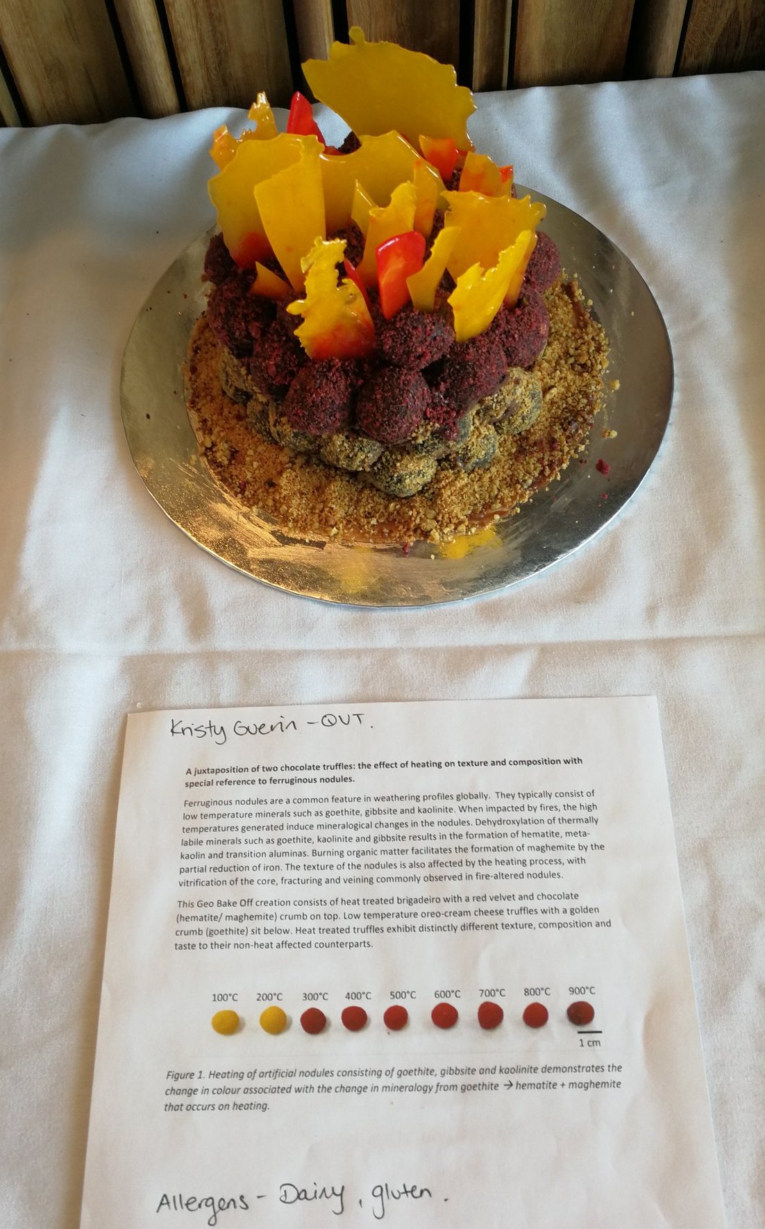 Kristy Guerin's winning entry in the Geo Bake off