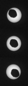 Phobos and the sun from Curiosity